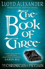 Lloyd Alexander - The Book of Three
