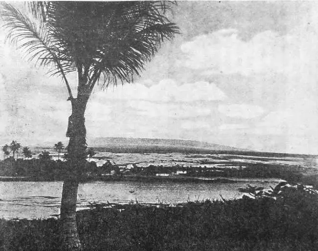 Вот она знаменитая Белая гора Мауна Кеа Железнодорожная станция - фото 7