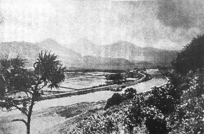 Панданы Это и есть главный кратер Мауна Лоа Он находится от Килауеа ровно в - фото 8