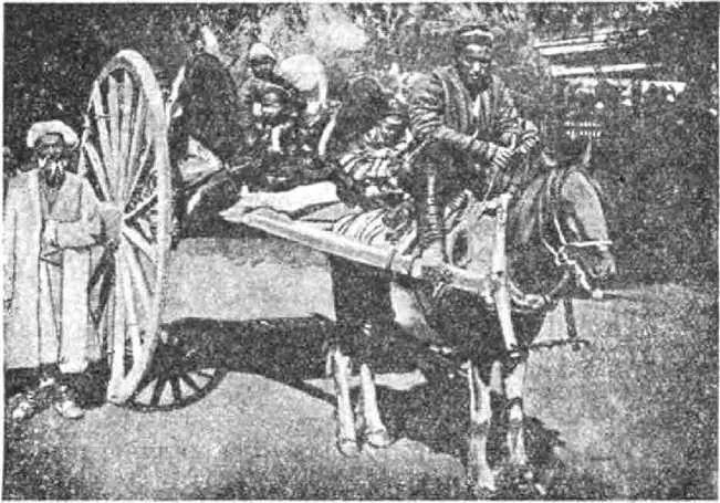 Арбакеш узбекский извозчик I НА АРБЕ Тяжело живется Юнуске Вот уже 12 - фото 10