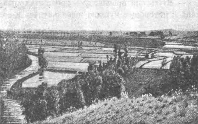 Рисовые поля Давно так не отдыхал Юнуска давно с таким наслаждением не курил - фото 16