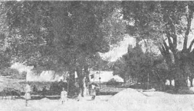 Уголок в кишлаке селении На Юнуску Кузьма мог вполне положиться он - фото 18