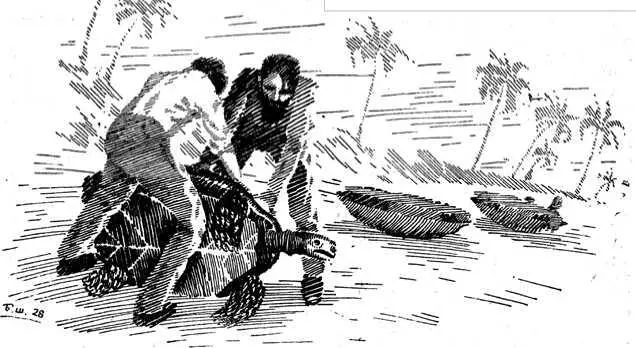 Берись за край панциря скомандовал доктор Сейчас мы освободим вас - фото 25