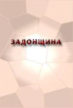 Аноним ЗАДОНЩИНА обложка книги