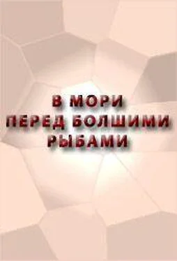 Аноним В МОРИ ПЕРЕД БОЛШИМИ РЫБАМИ СКАЗАНИЕ О ЕРШЕ О ЕРШОВЕ СЫНЕ, обложка книги