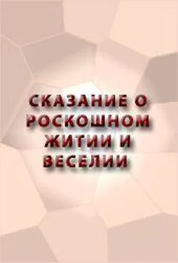 Аноним СКАЗАНИЕ О РОСКОШНОМ ЖИТИИ И ВЕСЕЛИИ обложка книги