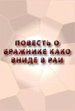 Аноним ПОВЕСТЬ О БРАЖНИКЕ КАКО ВНИДЕ В РАИ обложка книги