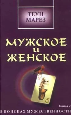 Теун Марез Мужское и женское: в поисках мужественности обложка книги