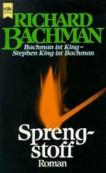 Stephen King - Sprengstoff