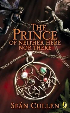 Sean Cullen The Prince of Neither Here Nor There обложка книги