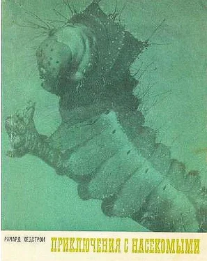 Ричард Хедстром Приключения с насекомыми обложка книги