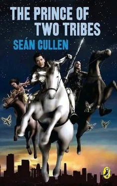 Sean Cullen The Prince of Two Tribes обложка книги