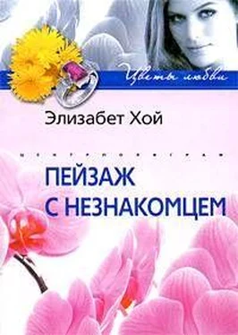 Элизабет Хой Пейзаж с незнакомцем обложка книги