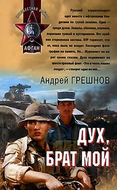 Андрей Грешнов Дух, брат мой обложка книги
