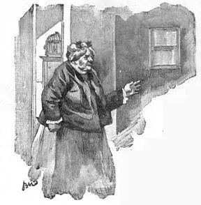 petite fenêtre quun nez et des joues rouges dans un capuchon de laine Enfin - фото 44