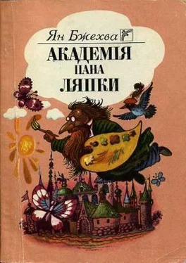 Ян Бжехва Академія пана Ляпки обложка книги