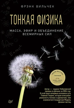 Фрэнк Вильчек Тонкая физика. Масса, эфир и объединение всемирных сил обложка книги