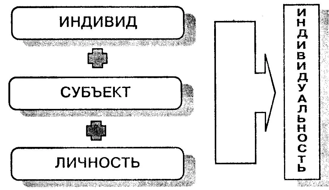 Рис 14 Структура понятия индивидуальность по Б Г Ананьеву Началом - фото 5
