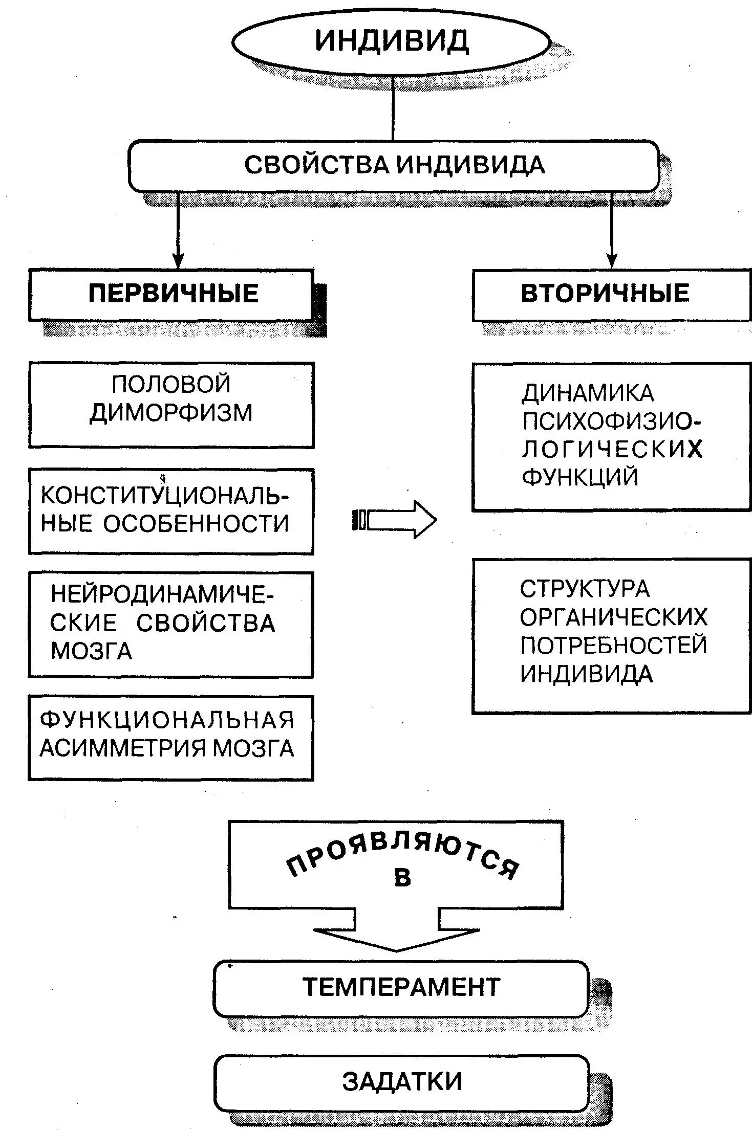 Рис 11Структура понятия индивид по Б Г Ананьеву свойства мозга - фото 2