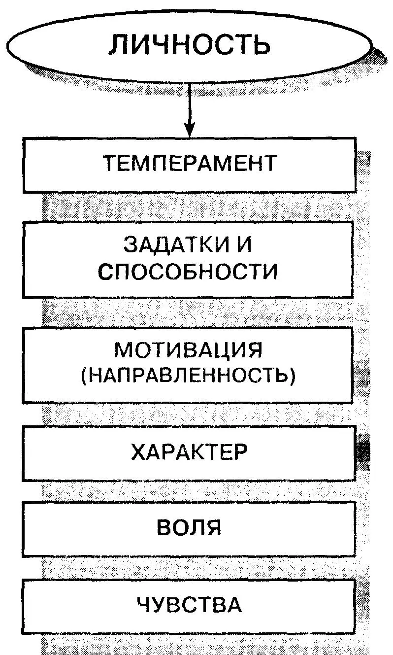 свойства мозга особенности функциональной геометрии больших полушарий - фото 3