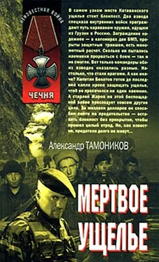 Александр Тамоников Мертвое ущелье обложка книги