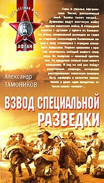 Александр Тамоников Взвод специальной разведки обложка книги