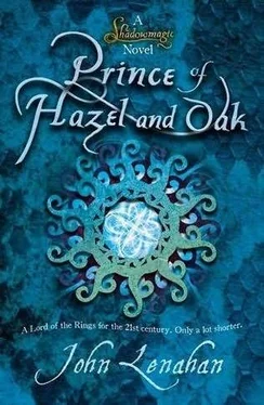 John Lenahan Prince of Hazel and Oak обложка книги