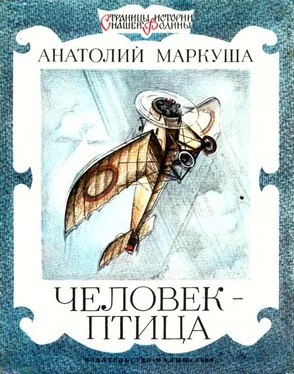 Анатолий Маркуша Человек-птица обложка книги