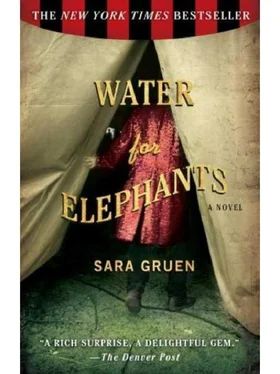 Sara Gruen Water for Elephants обложка книги