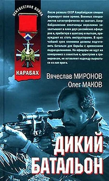 Вячеслав Миронов Дикий батальон обложка книги