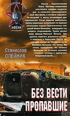 Станислав Олейник Без вести пропавшие обложка книги