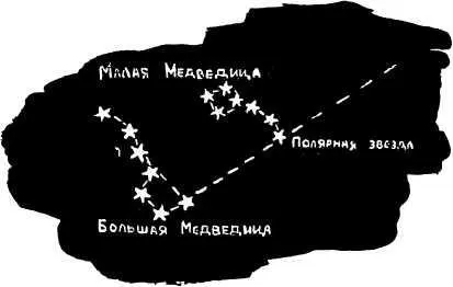 Полярную звезду отыскать на небе очень легко Вам всем известно созвездие - фото 7