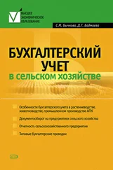 Светлана Бычкова - Бухгалтерский учет в сельском хозяйстве