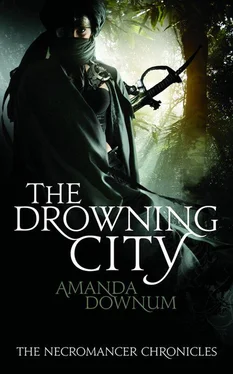 Amanda Downum The Drowning City обложка книги