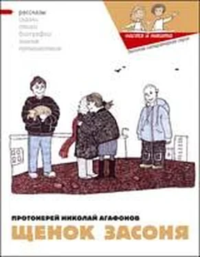 Николай Агафонов Щенок Засоня обложка книги