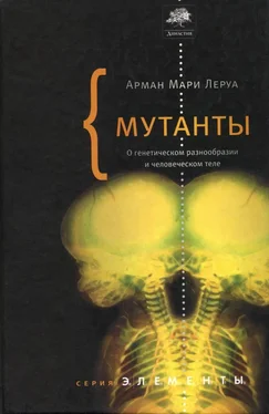 Арман Мари Леруа Мутанты. О генетической изменчивости и человеческом теле. обложка книги