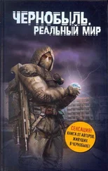 Сергей Паскевич - Чернобыль. Реальный мир