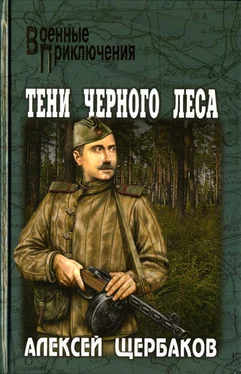 Алексей Щербаков Тени черного леса обложка книги