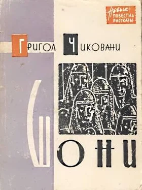 Григол Чиковани Шони обложка книги