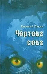 Евгений Лукин - Чёртова сова