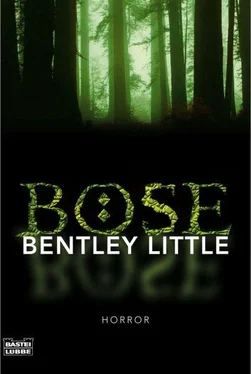 Bentley Little Böse обложка книги