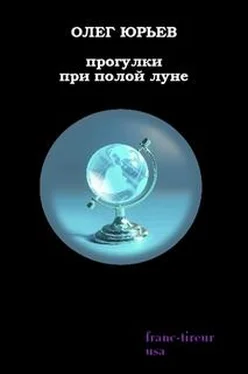 Олег Юрьев Прогулки при полой луне: обложка книги