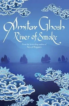 Amitav Ghosh River of Smoke обложка книги