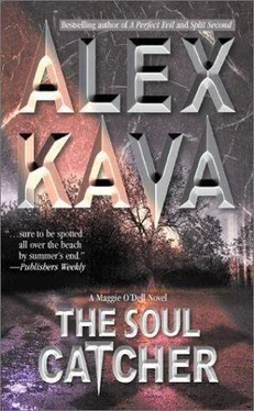 Alex Kava The Soul Catcher обложка книги