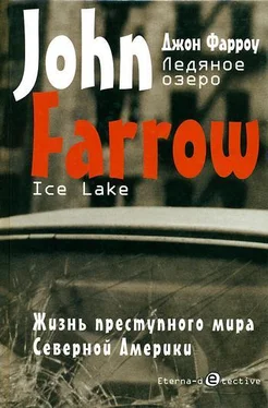 Джон Фарроу Ледяное озеро обложка книги
