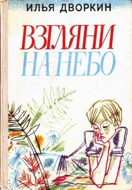 Илья Дворкин Взгляни на небо обложка книги