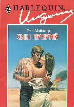 Энн Мэйджер Сын прерий обложка книги