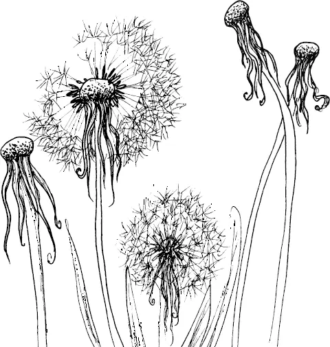 Рецепты Подготовлены участницами Аллергошколы Завтраки - фото 22