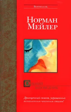 Норман Мейлер Олений заповедник обложка книги