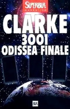 Arthur Clarke 3001 Odissea finale обложка книги